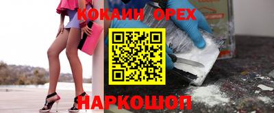 jwh Гатчина