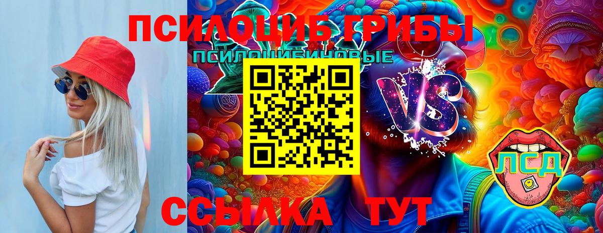 Осинники  Псилоцибиновые грибы прущие грибы  Вход с VPN  Галлюциногенные грибы мухоморы 